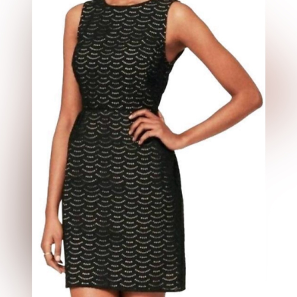 Ann Taylor Loft Black Lace Eyelet Fit & Flare Dress Size 6